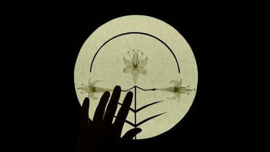 Artist spotlight, Sarah J Spurr